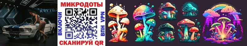 купить  цена  Берёзовский  Псилоцибиновые грибы MAGIC MUSHROOMS 